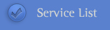 service_title